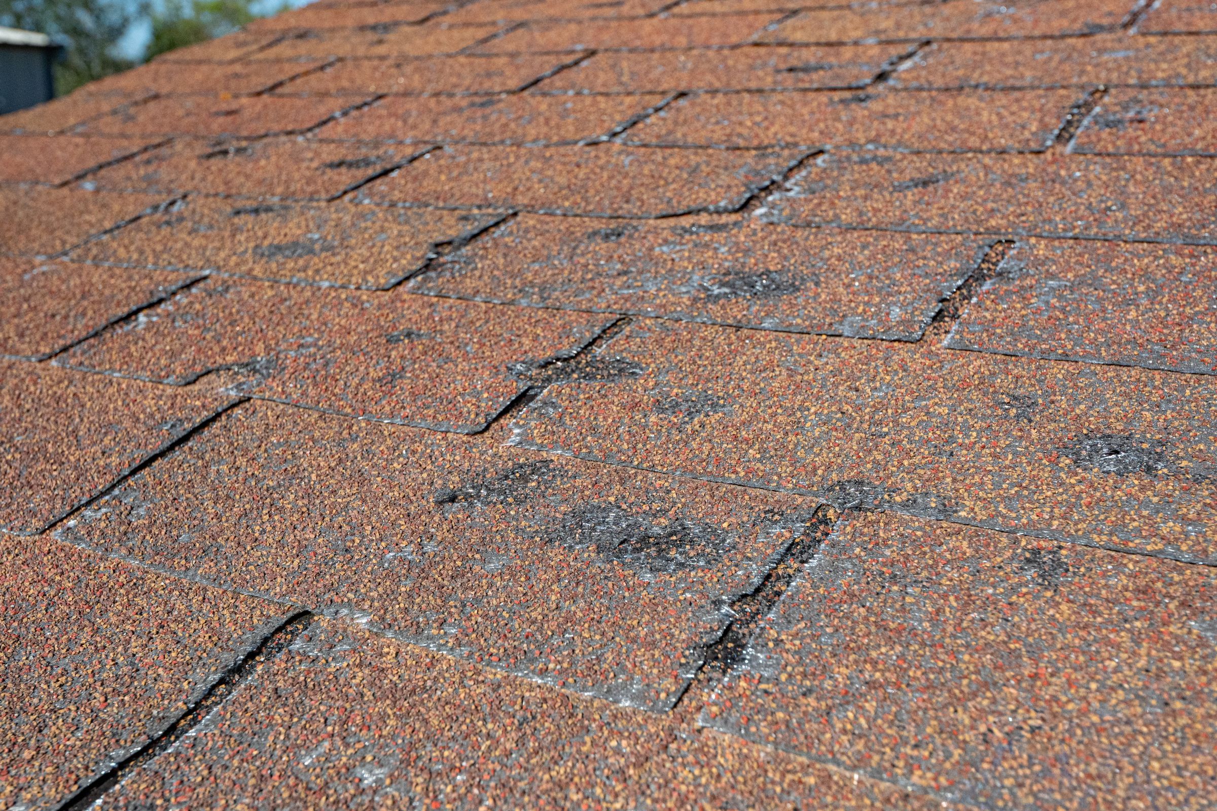 Asphalt shingles with dark circular hail bruises